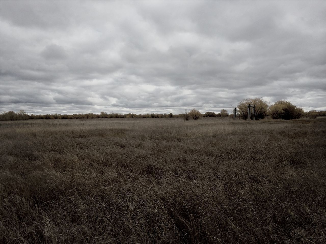 sky, landscape, field, cloud - sky, tranquil scene, tranquility, cloudy, scenics, grass, rural scene, beauty in nature, nature, cloud, overcast, horizon over land, agriculture, weather, grassy, growth, tree