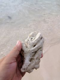 Midsection of person holding sand at beach