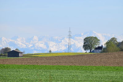 Scenic view of agricultural field against sky