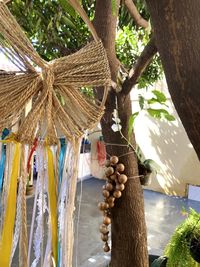 Low angle view of fruits hanging on tree