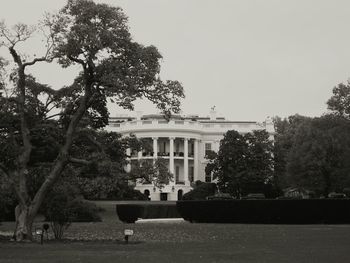 View of trees in the city