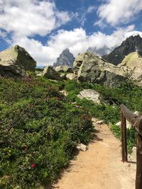 Footpath amidst plants and mountains against sky