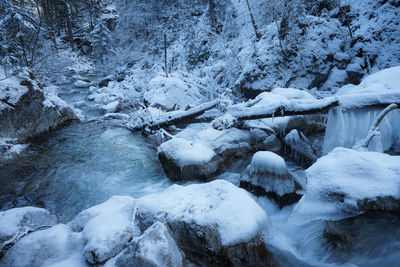 Snow covered landscape