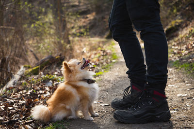 Low section of man with dog