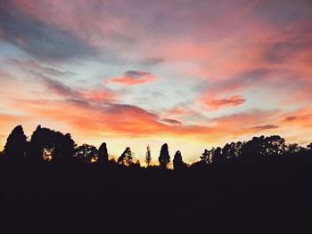 Silhouette trees against dramatic sky during sunset