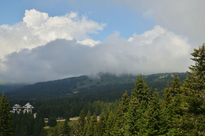 Scenic view of trees and mountains against sky