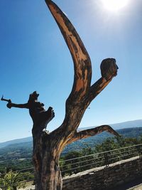 View of tree trunk against clear sky