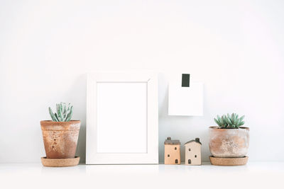 Close-up of potted plant on table against white background