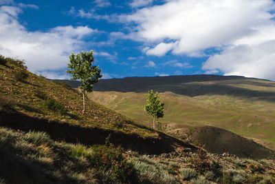 Scenic view of landscape against sky