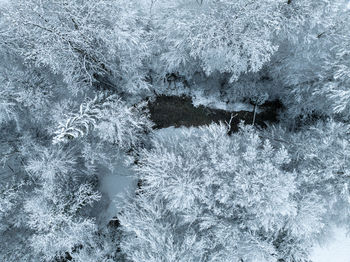 Full frame shot of snow covered field