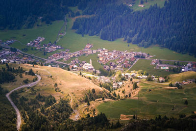 High angle view of trees on field
