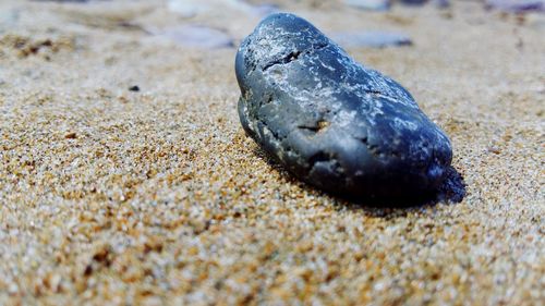 Close-up of sand on beach