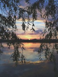 Bare trees by lake at sunset