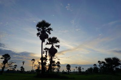 Silhouette palm trees on field against sky at sunset
