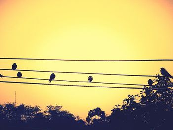 Low angle view of silhouette trees against clear sky