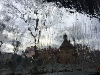 Close-up of trees against sky during winter