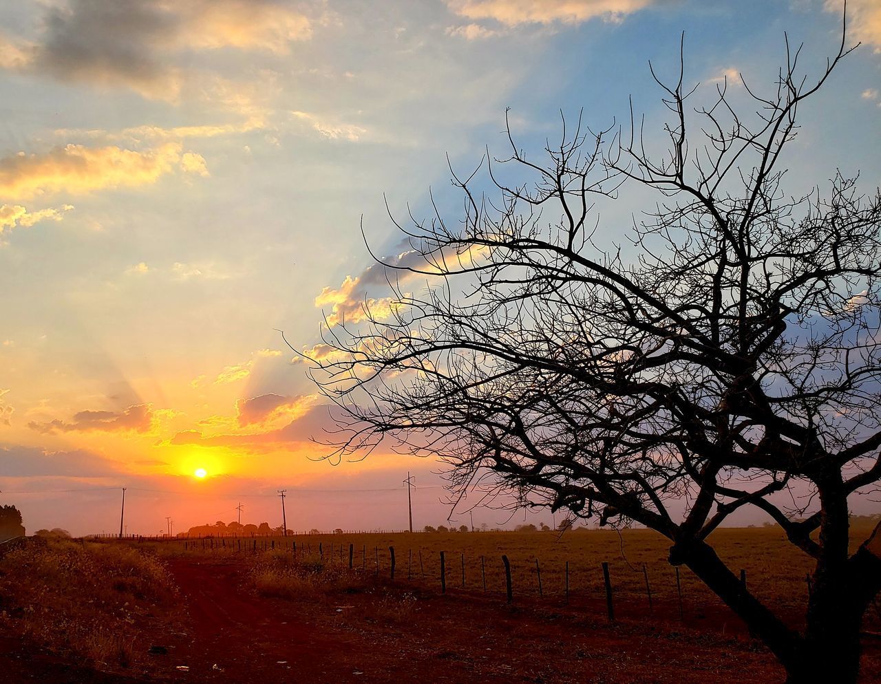 BARE TREE ON LANDSCAPE AGAINST SUNSET SKY