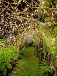 Illuminated lights on footpath at night