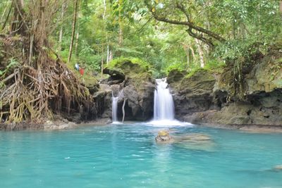 Waterfall in forest