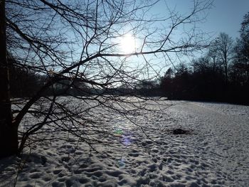 Bare trees on snow covered land against sky