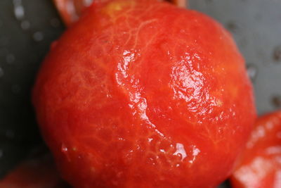Close-up of wet orange