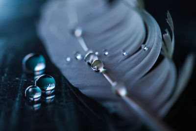 Close-up of water drops on leaf