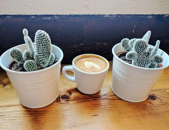 Close-up of potted plant on table