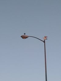 Low angle view of street light against clear sky