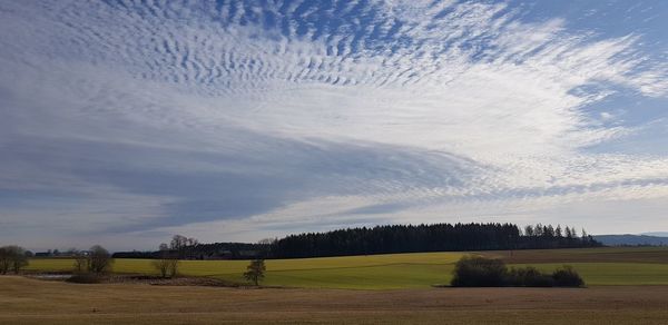 Scenic view of field against sky