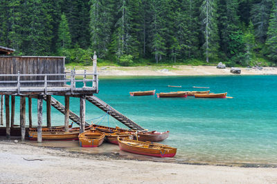 Boat moored on shore at forest