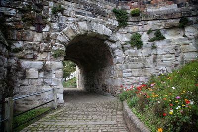 Walkway leading towards archway