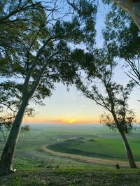 Scenic view of field against sky during sunset