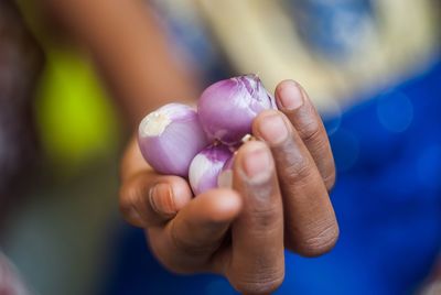 Close-up of hand holding purple flower