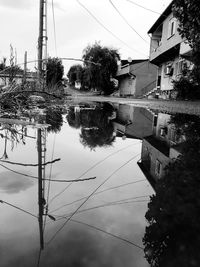 Reflection of trees and buildings in lake