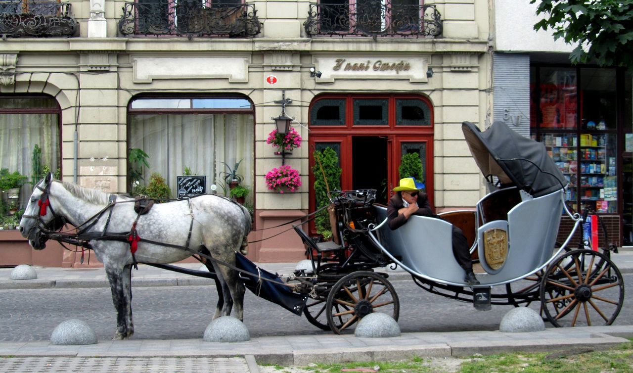 A horse-drawn cart