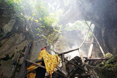 High angle view of rocks and trees in forest