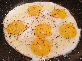 Close-up of breakfast served in plate