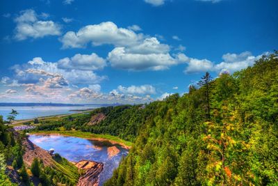 Panoramic shot of trees on land against sky