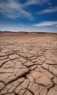 Scenic view of dry land against sky during sunset