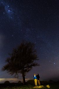 Silhouette of trees at night