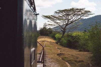 Railroad track amidst trees against sky