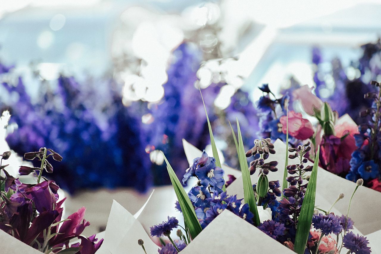 CLOSE-UP OF PURPLE FLOWERS ON FLOOR