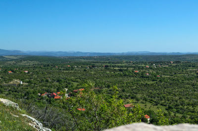 Scenic view of field against clear sky