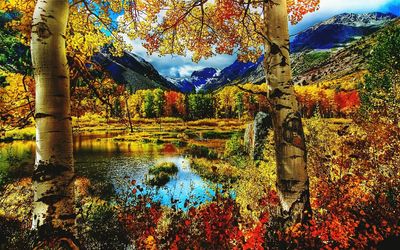 Scenic view of lake in forest during autumn