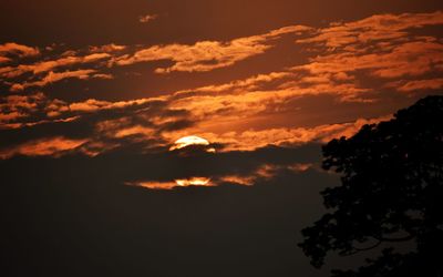 Low angle view of silhouette trees against sky during sunset