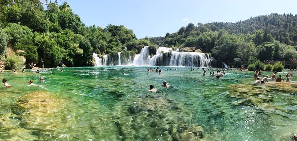 People swimming in pond against trees