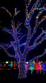 Close-up of illuminated christmas lights against black background