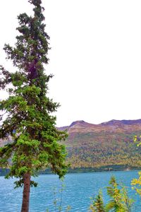 Scenic view of lake against clear sky