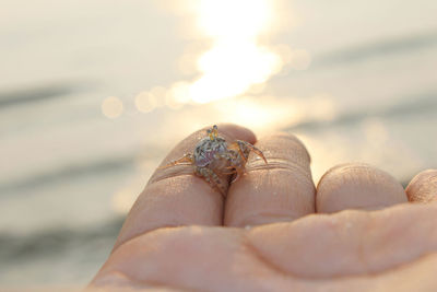 Close-up of human hand against sea