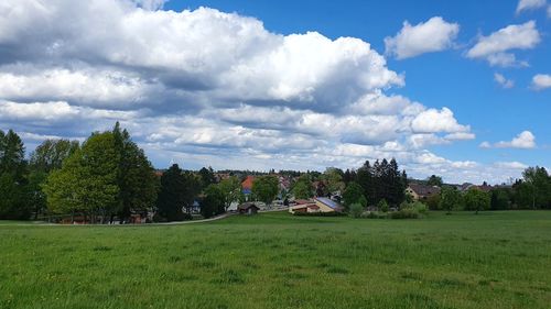 Trees and houses on field against sky